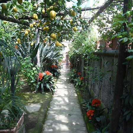 Anthea Sorrento Bed & Breakfast Luaran gambar