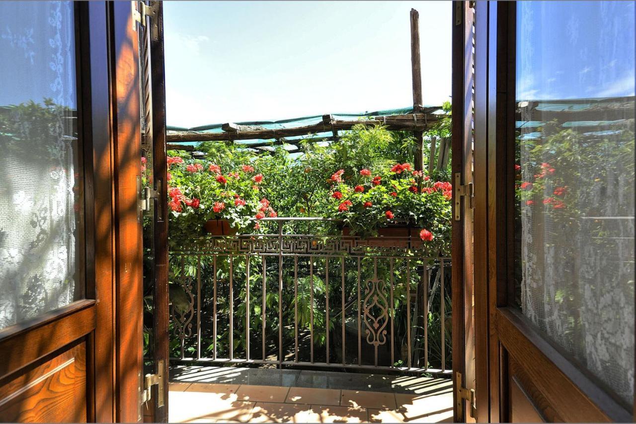 Anthea Sorrento Bed & Breakfast Luaran gambar